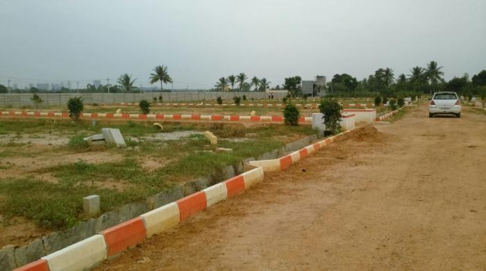 Sizzle Park Fields - Banner Image