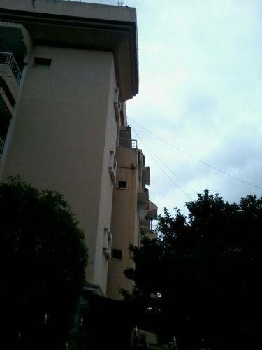 Wedge Wood - Project Photo