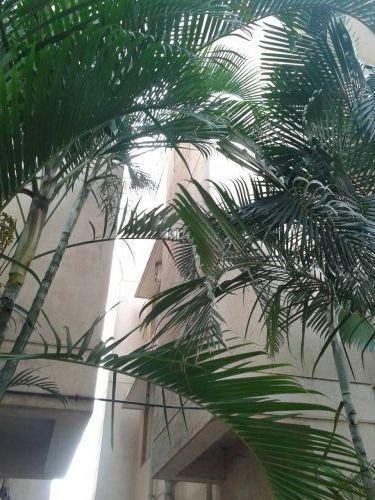 Primrose Villa - Project Photo