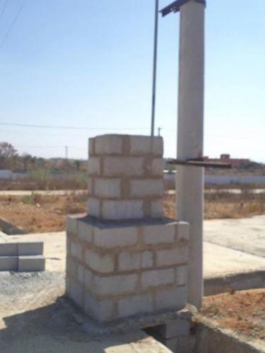 Confident Regulus - Project Photo