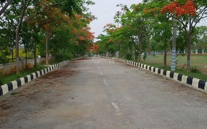 Golden Aster Park - Project Photo