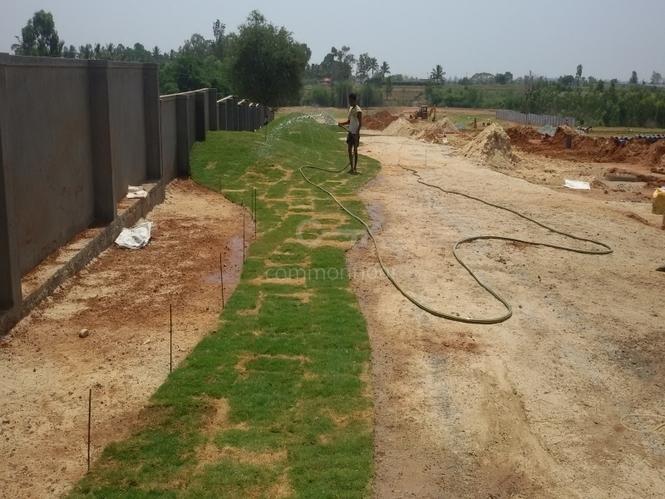 Golden Aster Park - Project Photo