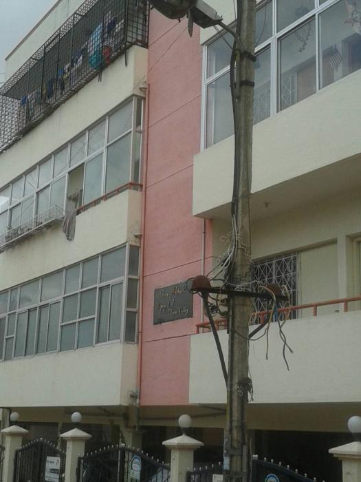 Fern Alpha  2 - Project Photo