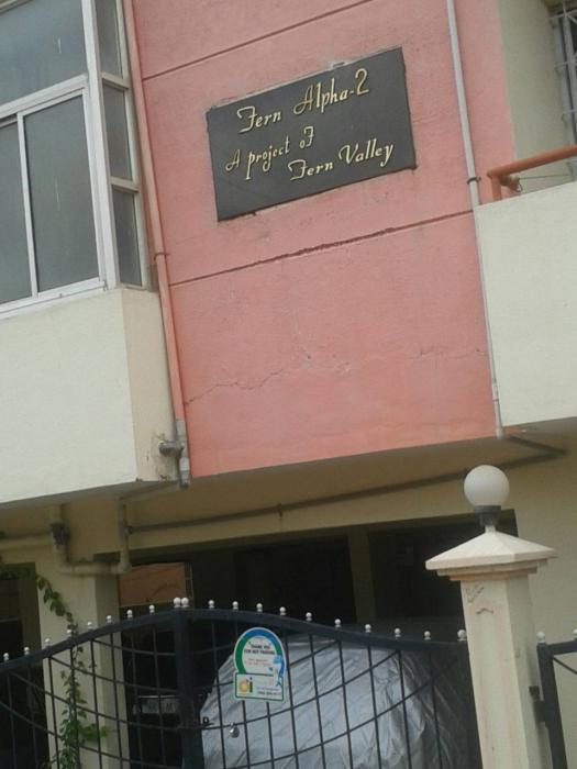 Fern Alpha  2 - Project Photo