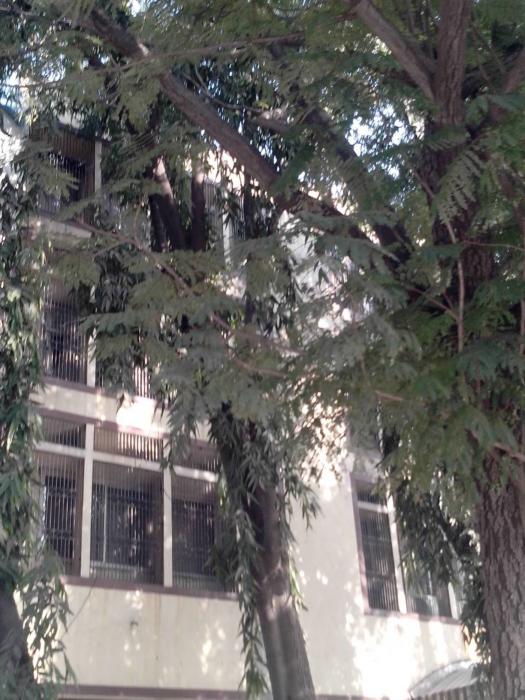 Shahu Bhavan - Banner Image