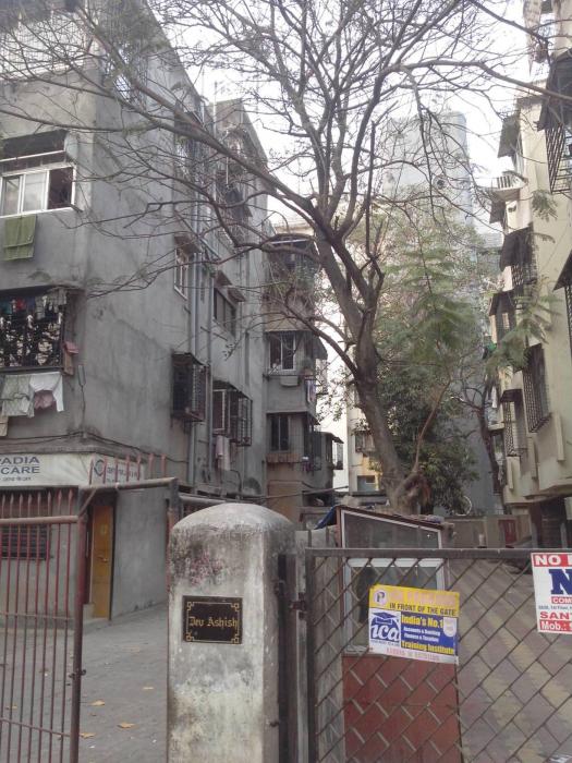 Dev Ashish - Project Photo