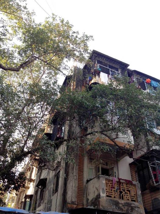 Daya Manzil - Project Photo