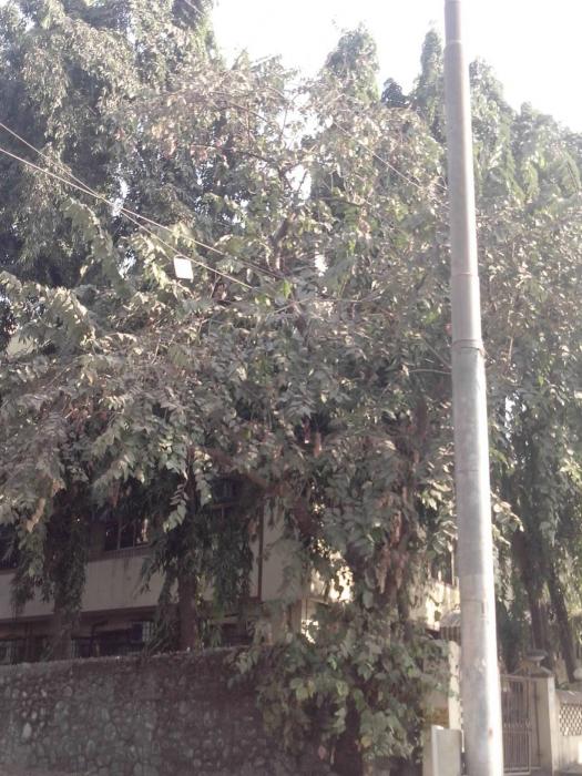 Shahu Bhavan - Project Photo