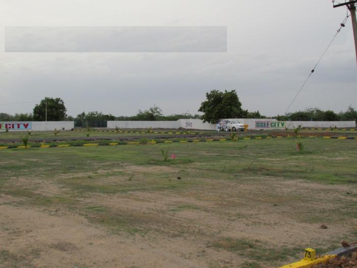SSLF PRP Garden - Banner Image