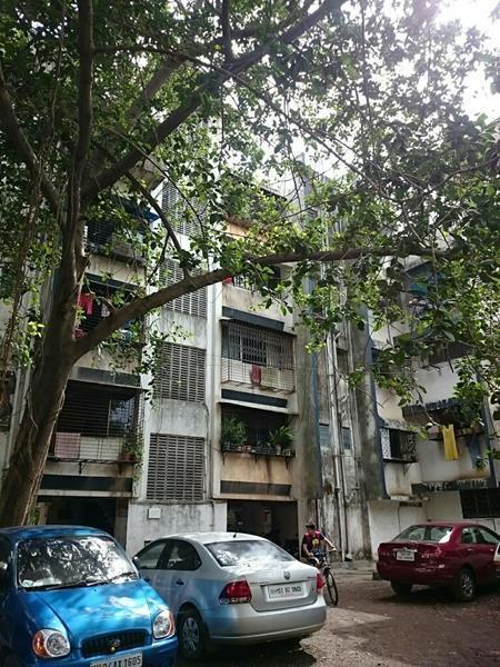 Dipti Dham - Banner Image