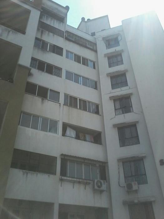 Spring Fields Apartment - Project Photo