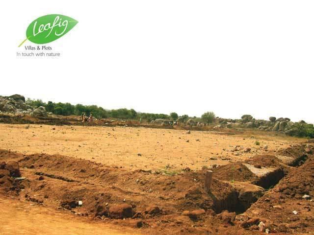 Dhaatri Leafig - Banner Image