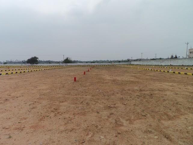 Highway Green City - Project Photo