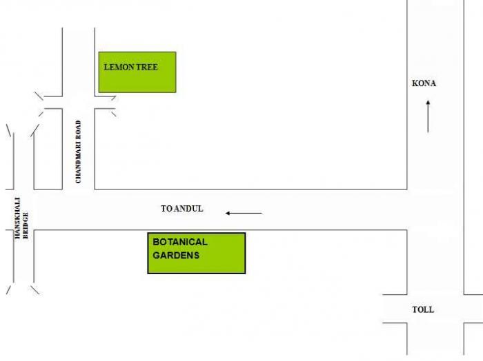 Lemon Tree - Locality