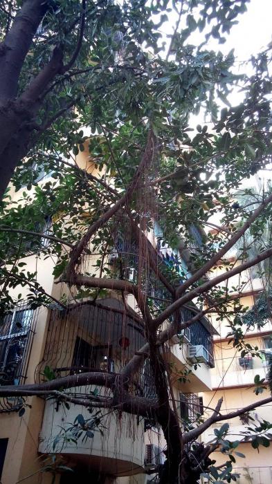 Nirvan Apartment - Project Photo