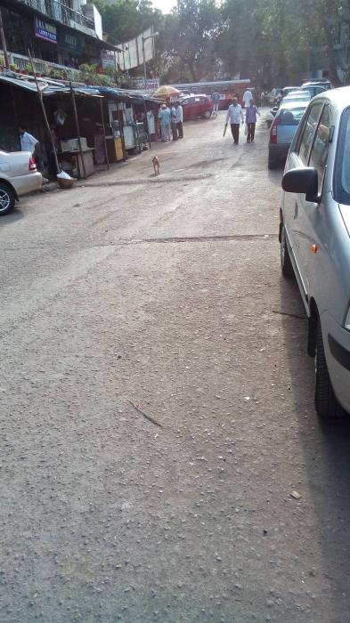 Lilly View - Project Photo