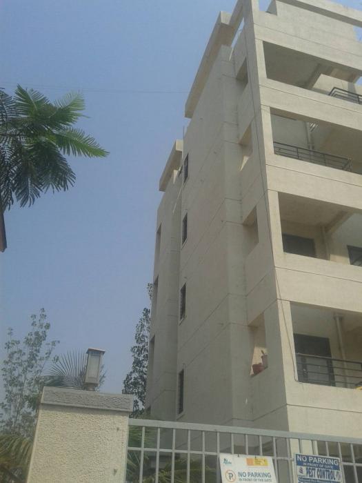 Aurum Bloom Tree - Project Photo