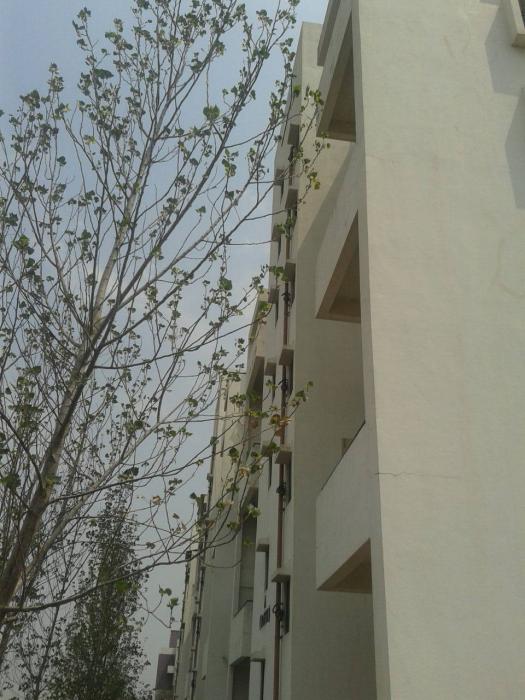 Emerald Park - Project Photo