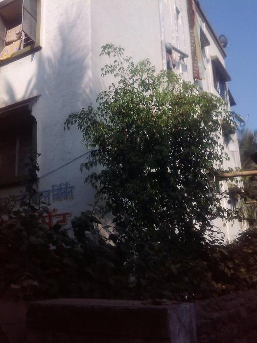 Chandra Apartment - Banner Image