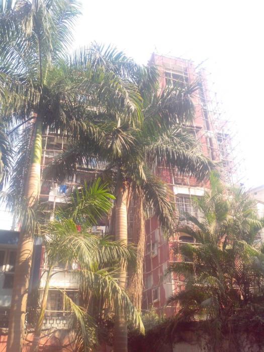 Dev Nagar - Banner Image