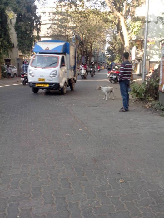 Milenium CHS - Project Photo