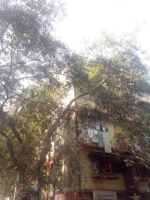 Amogsuddha CHS - Project Photo