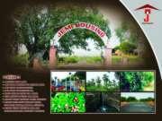 Lakshmi Garden Plot - Banner Image