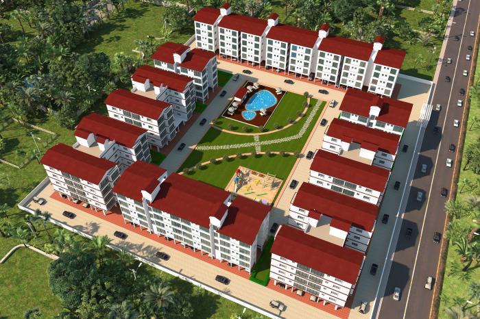 Expat Vida - Project Photo