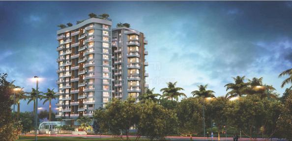 Supreme Amadore - Project Photo