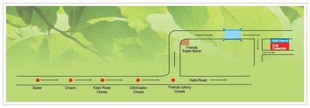 Oak Celestial - Locality