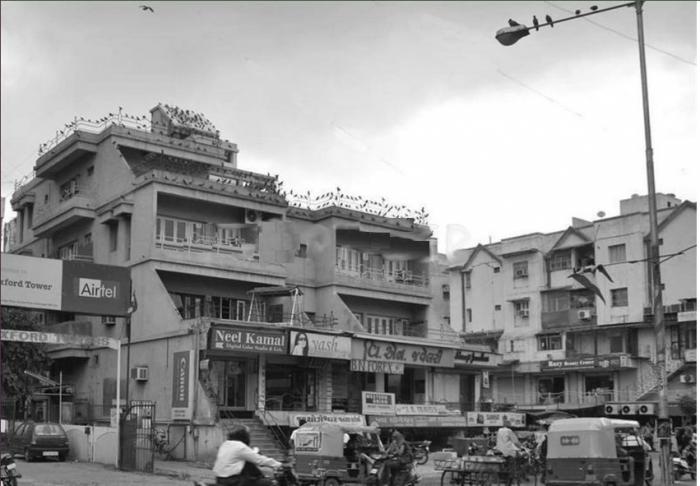 Sun Palace - Banner Image