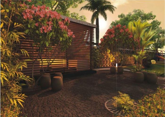 Optimize Elegance - Project Photo