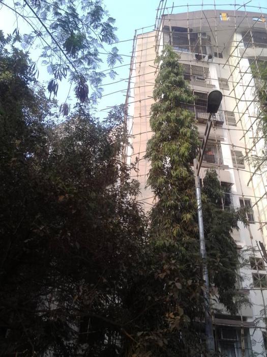 Diraj Enclave - Project Photo