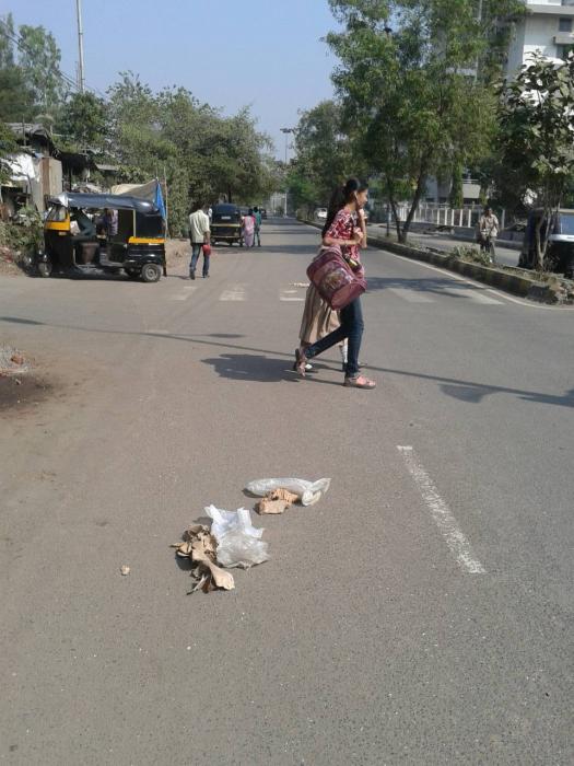 Bhalchandra Apartment - Project Photo