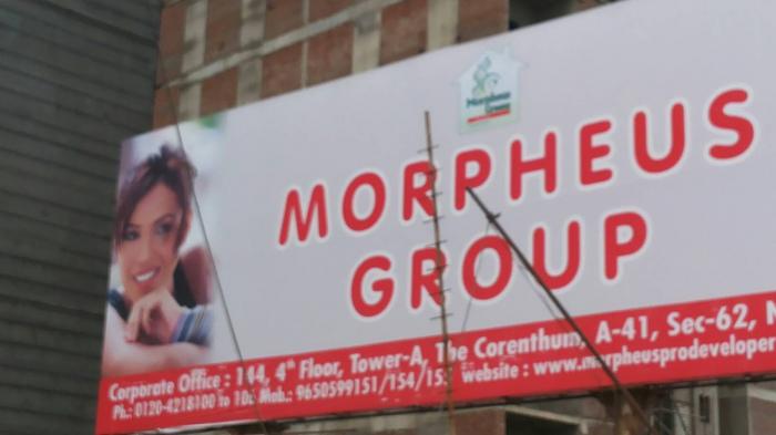 Morpheus Green - Project Photo