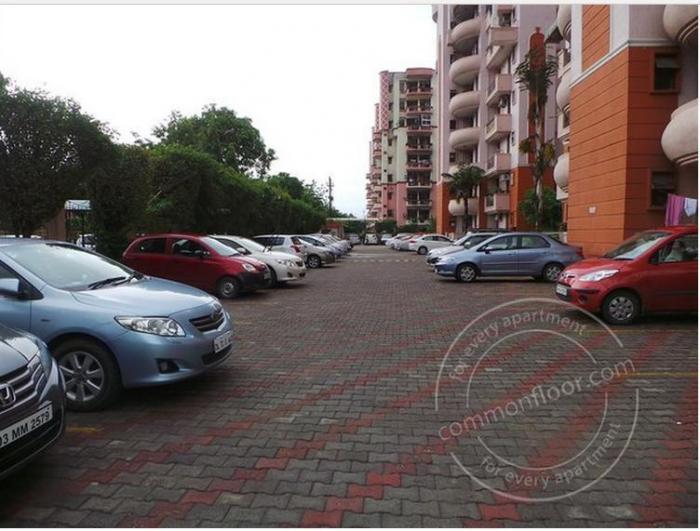 Express Green - Project Photo