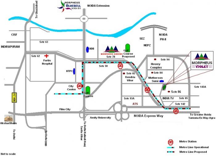 Morpheus Violet - Locality