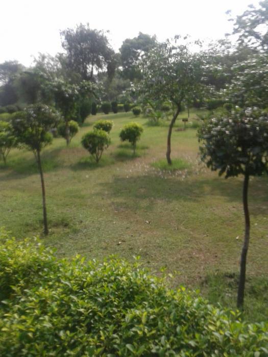 Manchanda Shri Krishna Apartment - Project Photo