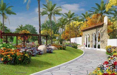 BLV Coco Aldea - Project Photo