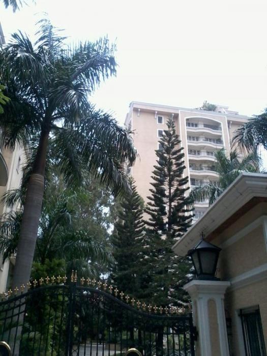 Regency Heights - Project Photo