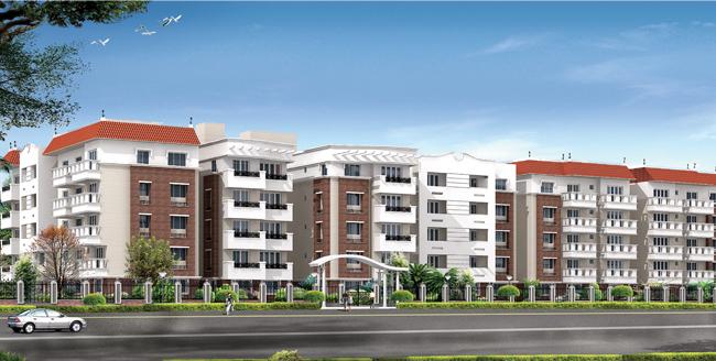 Sai Inchara - Banner Image