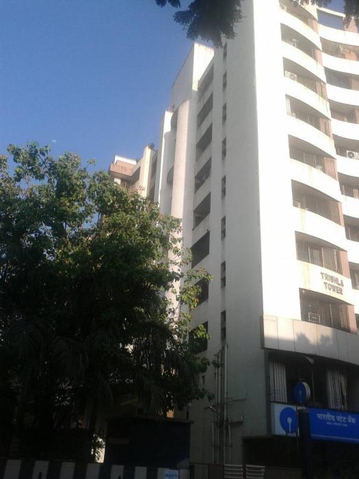 Trishila Tower - Project Photo