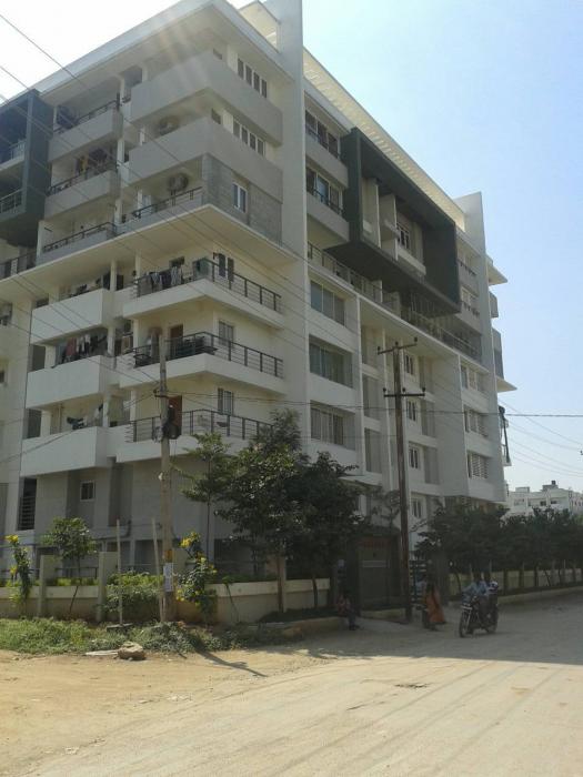 Xeno Summit - Project Photo