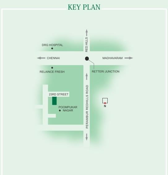 Oyester Laurels - Locality