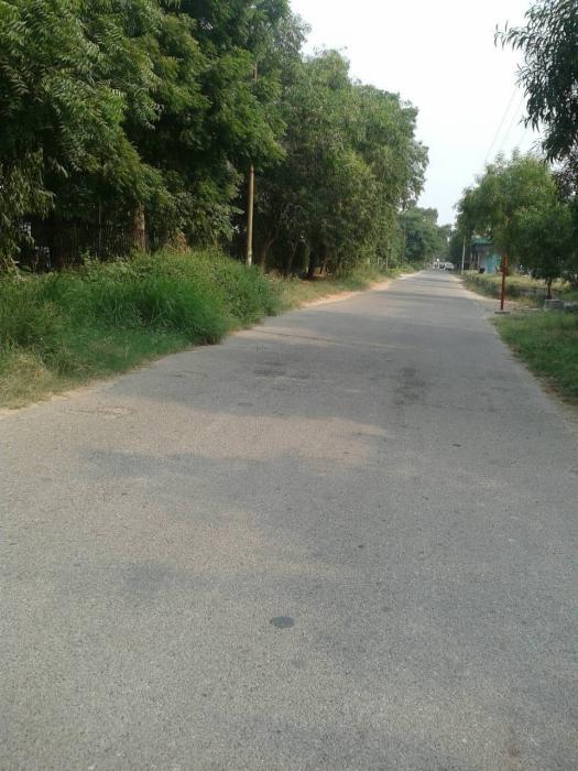 Arsh Complex - Project Photo