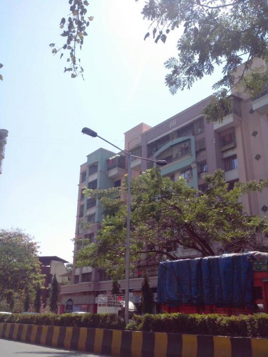 Maitri Tulip - Banner Image