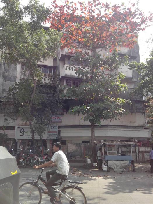 Anand Chambers - Banner Image