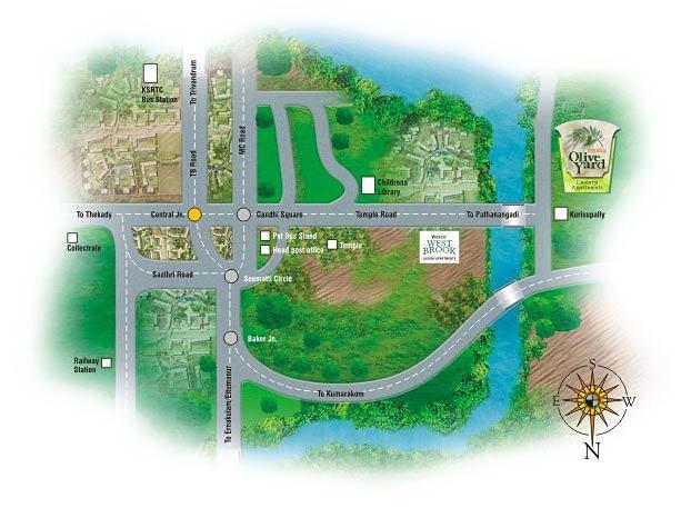 Olive Yard - Locality