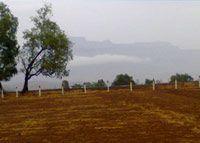 Mount Valley Plot - Project Photo