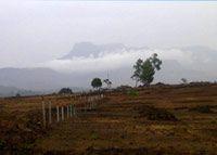 Mount Valley Plot - Project Photo